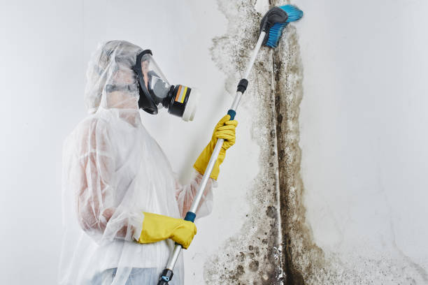 Best Mold Testing  in Milton, DE
