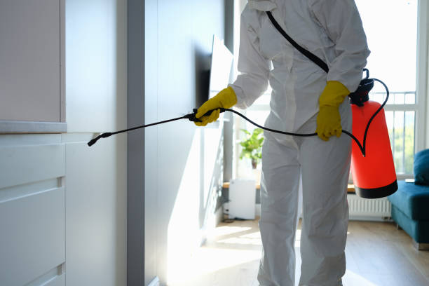 Best Attic Mold Removal  in Milton, DE