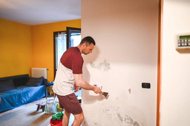 Crawl Space Mold Removal in Milton, DE