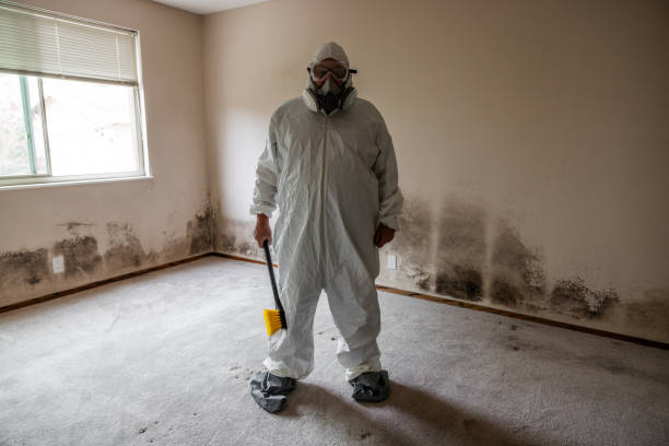 Best Local Mold Removal Service  in Milton, DE
