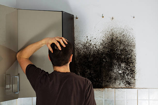 Best Emergency Mold Removal  in Milton, DE